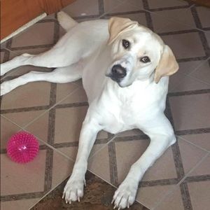 Meet your Posher, Tina